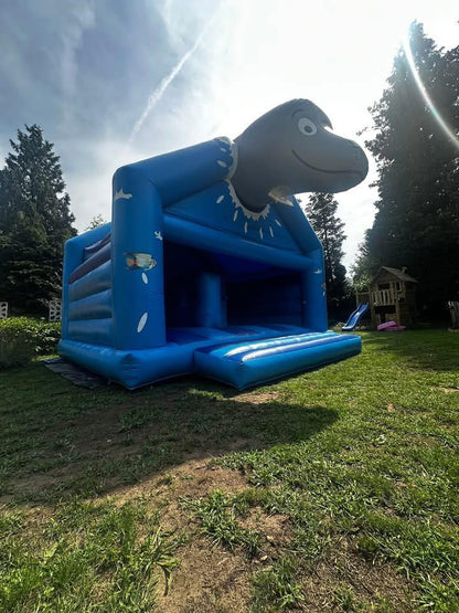 Dolfijn Springkasteel 🐬