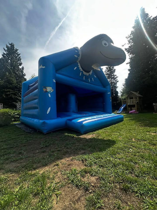 Dolfijn Springkasteel 🐬