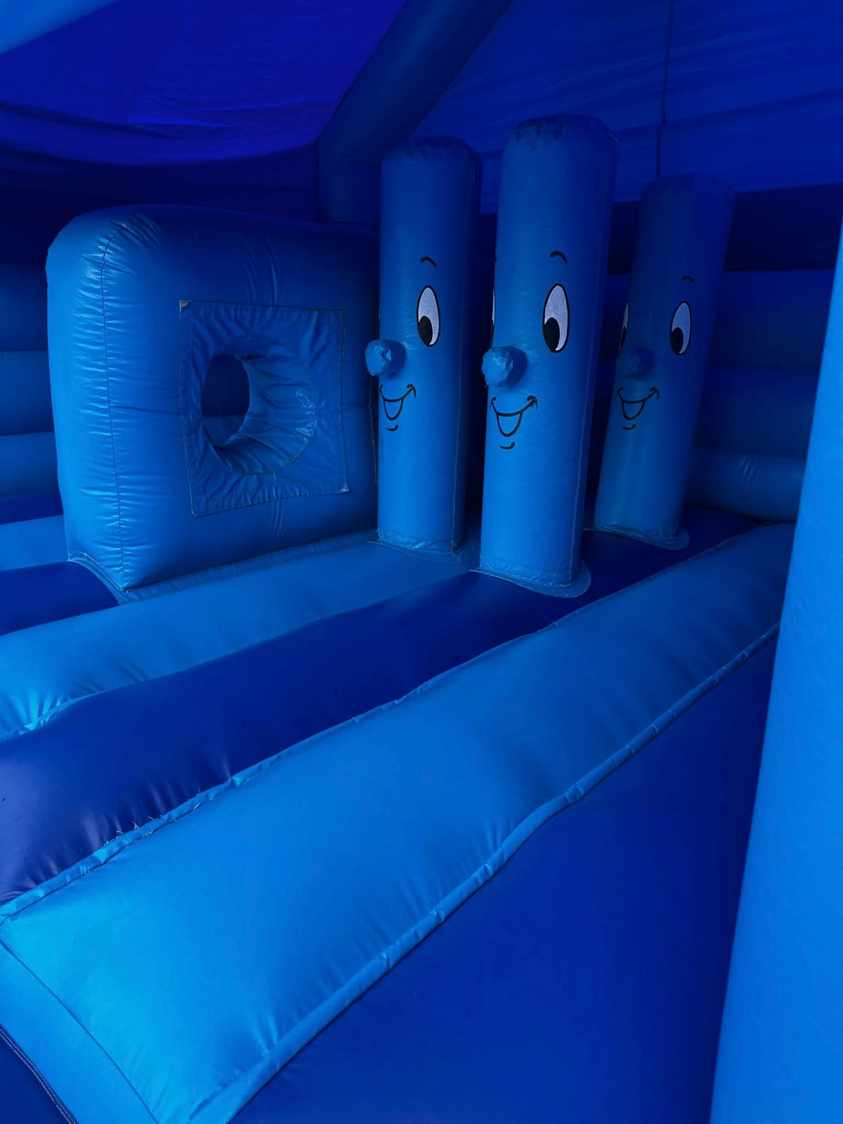 Dolfijn Springkasteel 🐬