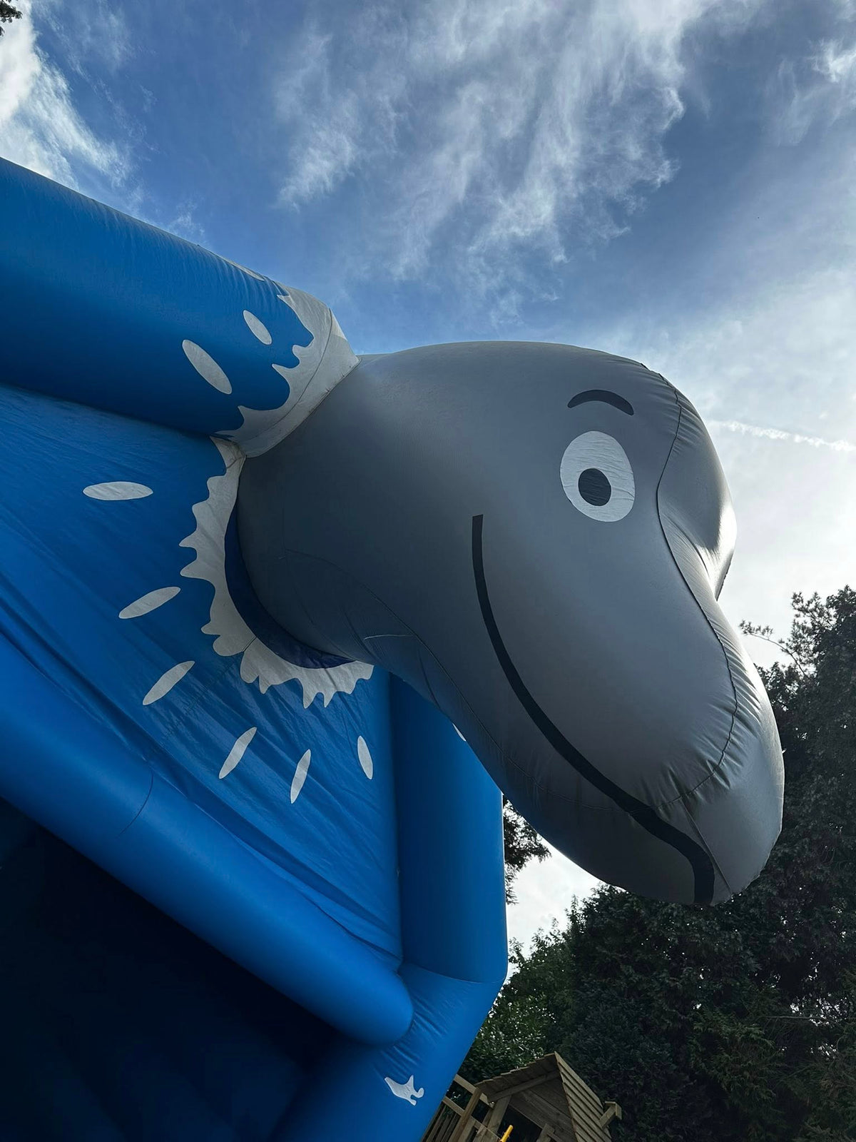 Dolfijn Springkasteel 🐬
